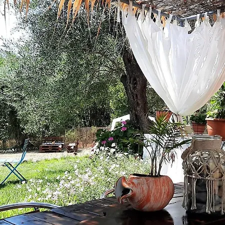 Chara's Holiday In South Corfu * Neochorakion